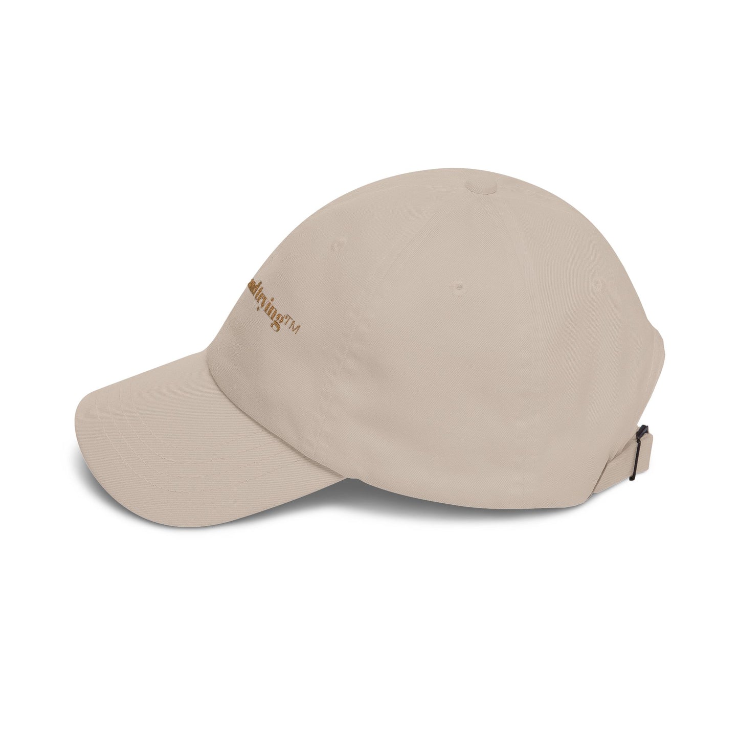 Cap — "Human...and trying" Embroidered Casual Baseball Hat